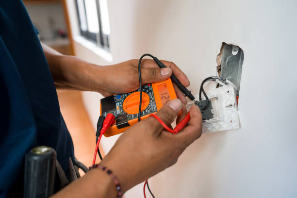 Best Electric Panel Repair  in Heidelberg, TX