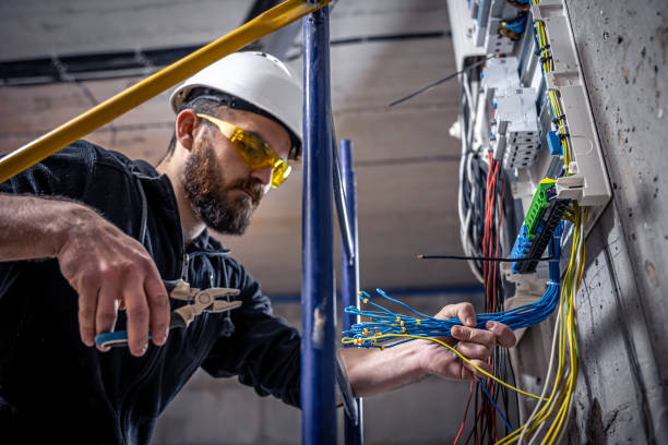 Best Electrical Upgrades for Homes  in Heidelberg, TX